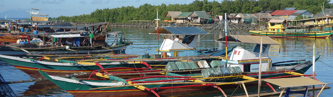 Gest&atilde;o da Pesca