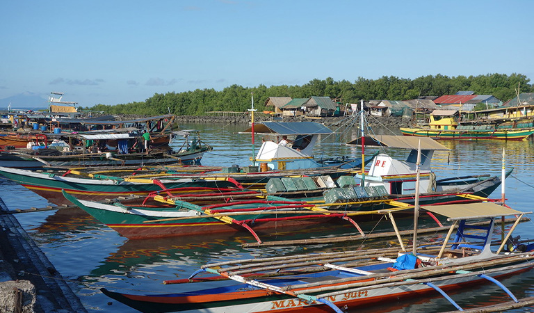 Gest&atilde;o da Pesca